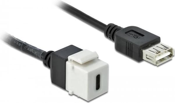 DeLOCK Keystone-modul - modulær indgang - USB type C - hvid (86391)