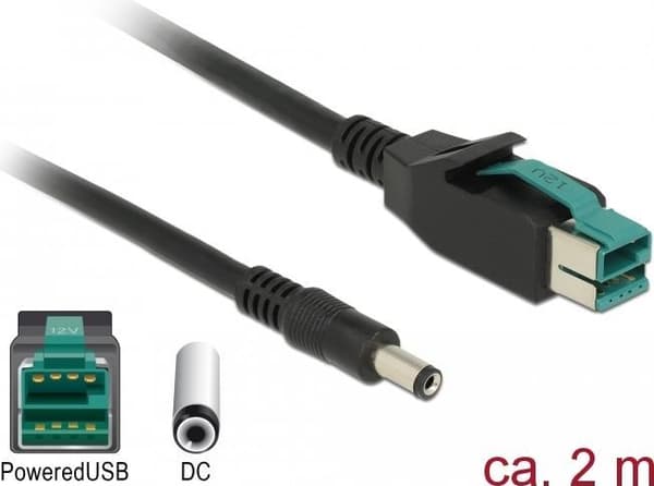 DeLOCK - Strømforsynet USB-kabel - USB PlusPower (12 V) (M) til GS Drive Hoist 2,1/5,5 mm (M) 2,0m - Sort (85498)