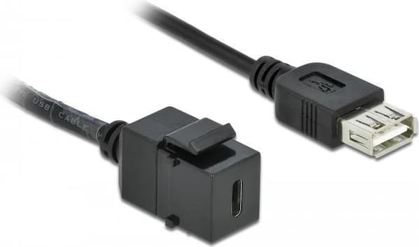 DeLOCK Keystone-modul - Modulær indgang - USB Type C - Sort (86384)