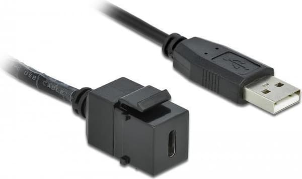 DeLOCK Keystone-modul - Modulær indgang - USB Type C - Sort (86378)