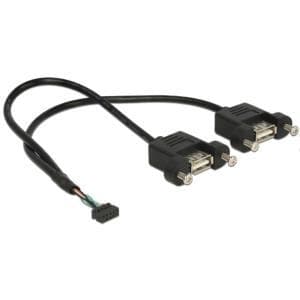 DeLOCK - USB-kabel intern till extern - 10-stifts USB-huvud (F) till USB (F) - 25 cm (USB/USB2.0) - svart (84832)