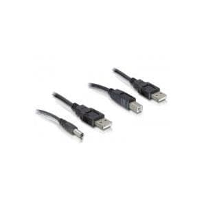 DeLOCK - Strømkabelsæt - USB type A, 4-benet (M) - USB type B, 4-benet, DC-stik 2,1 mm (M) - 30 cm (82461)
