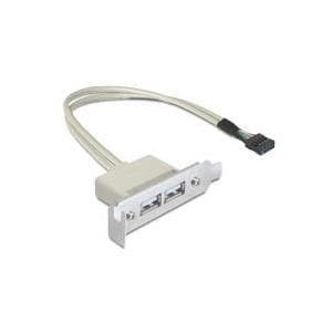 DeLOCK Slotsfäste - USB-kabel - USB typ A, 4-stift (F) - 9-stift USB-huvud (F) - 50 cm (USB / USB2.0) (83119)