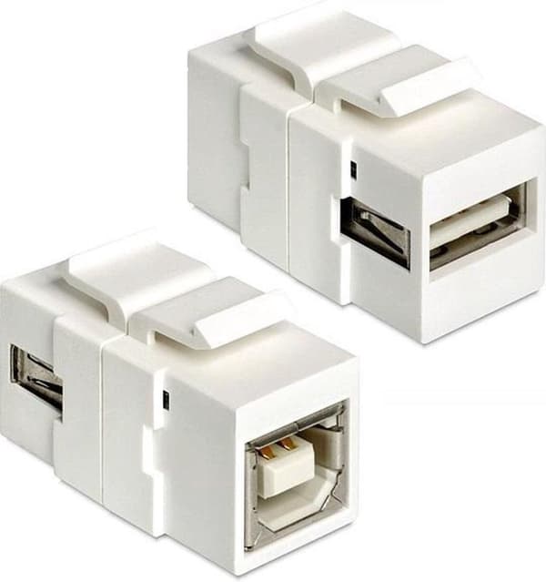 Delock - Keystone Modul USB 2.0 A Buchse - USB 2.0 B Buchse