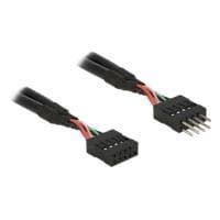 DeLOCK USB 2.0-stiftshuvud - Intern USB-kabel - 10-stifts USB-huvud (W) till 10-stifts USB-huvud (M) - 25 cm - Svart