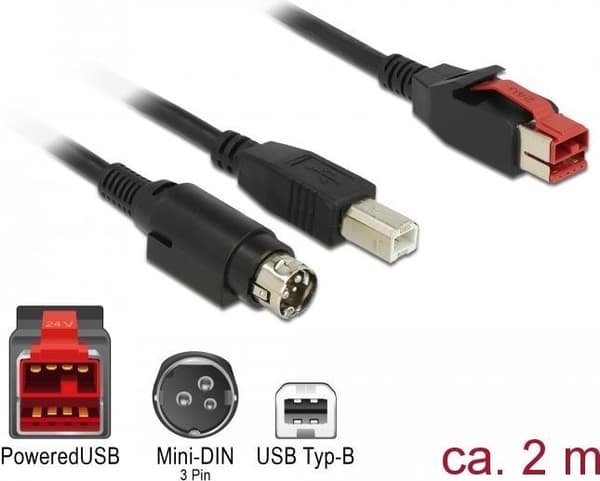 DeLOCK - Strømforsynet USB-kabel - USB PlusPower (24 V) (M) til USB type B, strøm mini-DIN (M) - 24 V - 2 m - sort