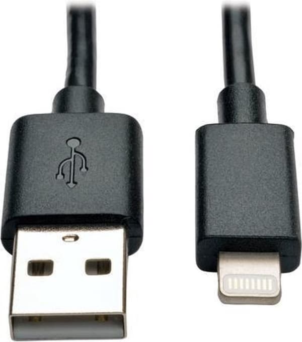 Tripp Lite 25,4 cm, blixt - USB2.0