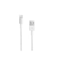 Miniatyrbild 4 av 4: [Kompatibel iPad 2017 - 2018 - AIR - MINI - PRO] Kabel 1M + Vit Väggladdare [Phonillico®]