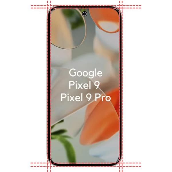 "Skyddsfodral för Google Pixel 9 / Pixel 9 Pro och 2 härdade glas skydd för skärmen Phonillico®"