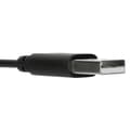 Miniatyrbillede 8 af 10: Targus AEH102GL - Headset - on-ear - cabriolet - kablet - USB-A - støjisolering - sort (AEH102GL)