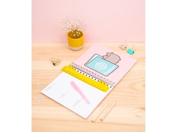 Pusheen Pusheen - Planner 2019/2020 år (15,5 x 19 cm) universal