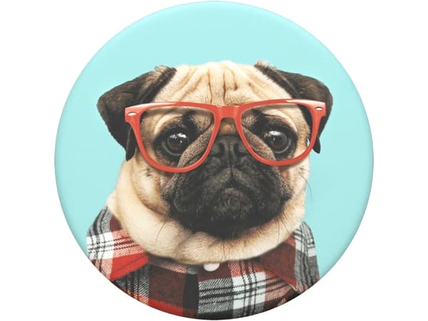 PopSockets Swappable PopGrip - Fingergrepp/vikbart ställ för mobiltelefon - Studious Stu - pug in plaid with sunglasses