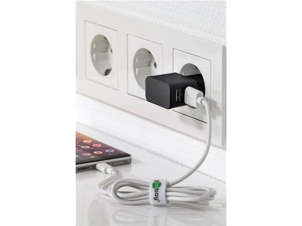 Goobay 44951, inomhus, AC, 5 V, 2,4 A, Svart