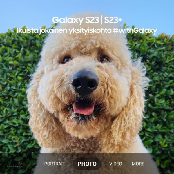 Samsung Galaxy S23 5G -puhelin, 256/8 Gt, laventeli