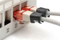 Miniatyrbilde 4 av 5: Digitus A-CC-BL, Fargekodende klemme, Sort, Polyvinylklorid (PVC), Cat5e/6, 100 stykker, 100 mm