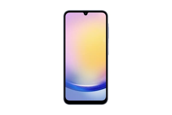 Samsung Galaxy A25 5G 16,5 cm (6,5") USB Type-C 8 GB 256 GB 5000 mAh Blå