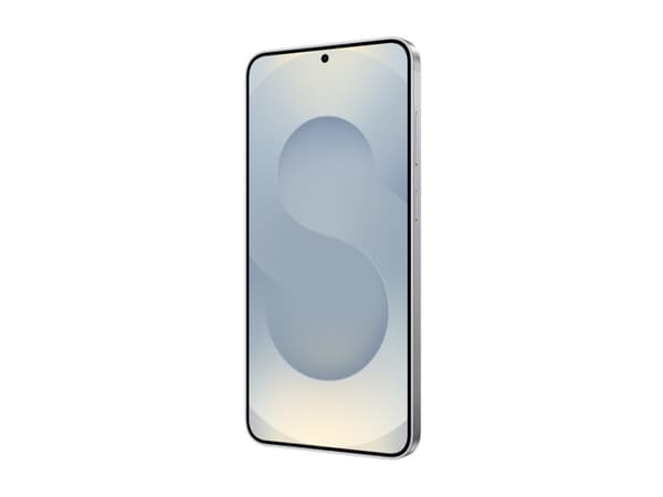 Samsung® | Galaxy S25+ - 5G smartphone - 256GB | SILVER SHADOW