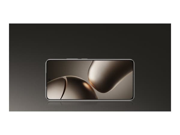 Xiaomi 14T Pro 6.67 512GB Titanium Gray