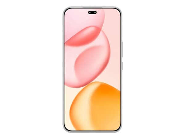 Honor 400 Pro, 17 cm (6.7"), 12 GB, 512 GB, 50 MP, MagicOS 9.0, Grå