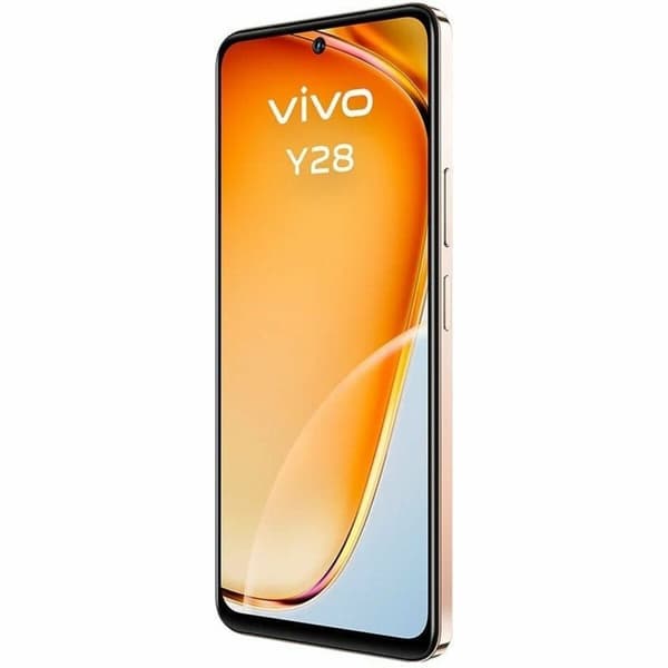 Smartphone Vivo Y28 Octa Core 4 GB RAM 128 GB Orange 6,67"