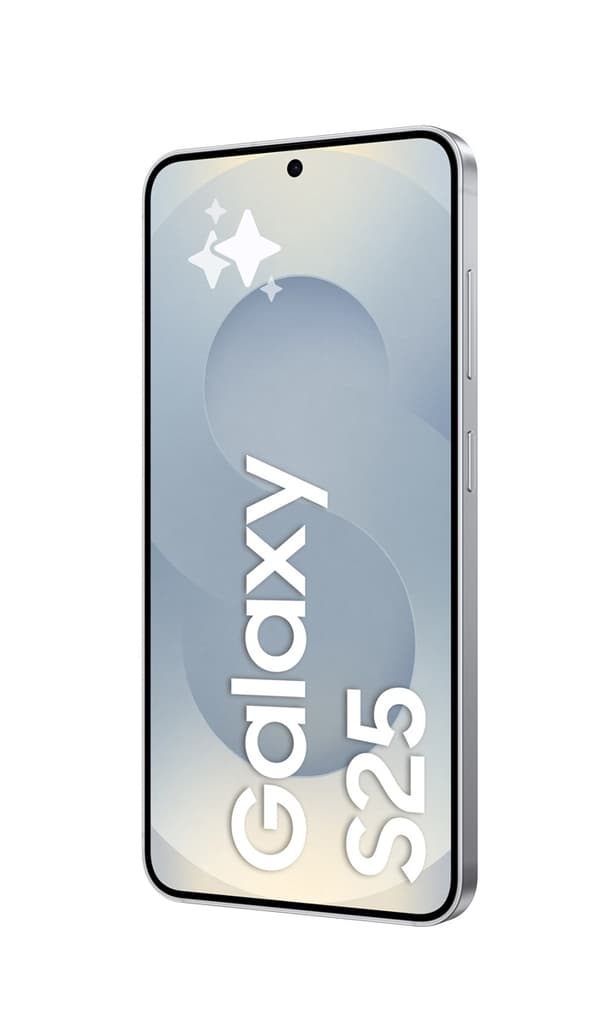 Samsung Galaxy S25 256GB 5G smartphone - Silver Shadow(Nordisk)