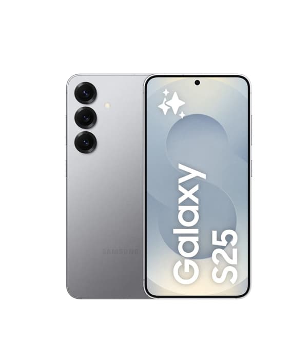 Samsung Galaxy S25 256GB 5G smartphone - Silver Shadow(Nordisk) Silver