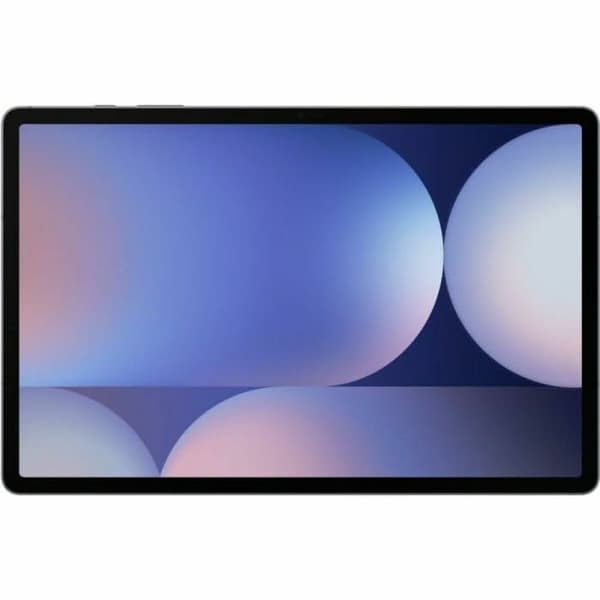 Läsplatta Samsung 12,4" 12 GB RAM 256 GB Grå