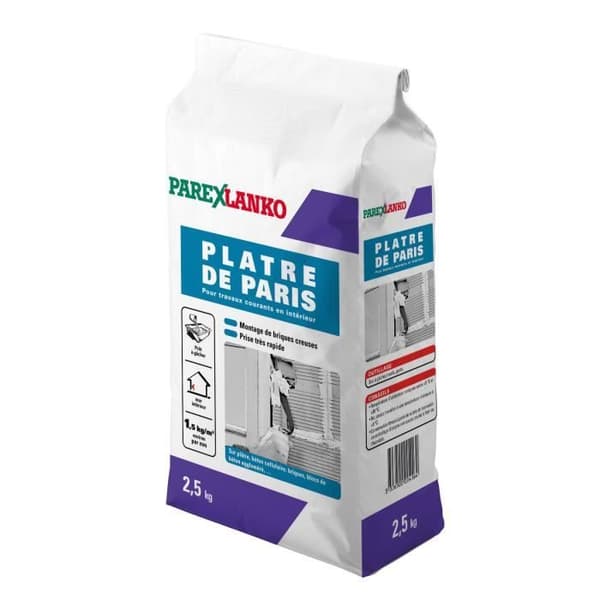 GIPS PARIS 2,5KG
