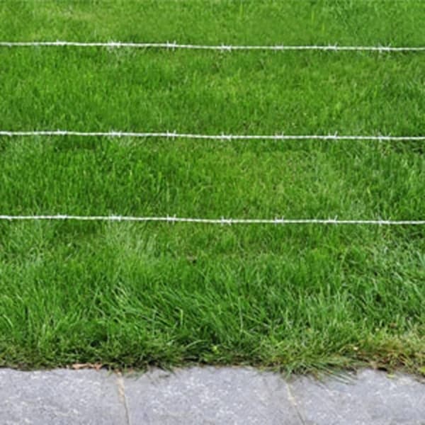 vidaXL Pigtrådshegn barbed wire