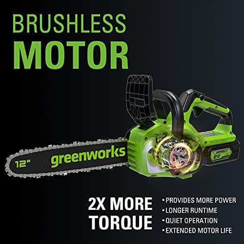 Motorsav 24V 30 cm Greenworks GD24CS30 - 2007007
