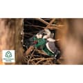 Miniatyrbillede 8 af 8: Bosch Easychain 18v-15-7 Motorsav Uden Batteri