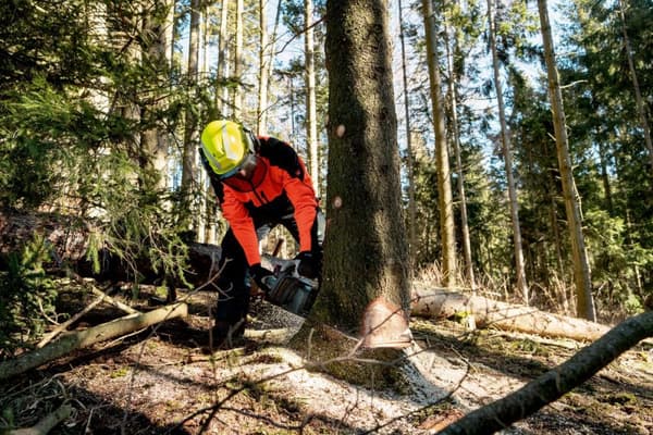 Metabo MS 36-18 LTX BL 40 Akku-kædesav (601613850)