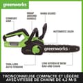 Miniatyrbild 2 av 4: Greenworks motorsåg - beskärare - 2007807UA
