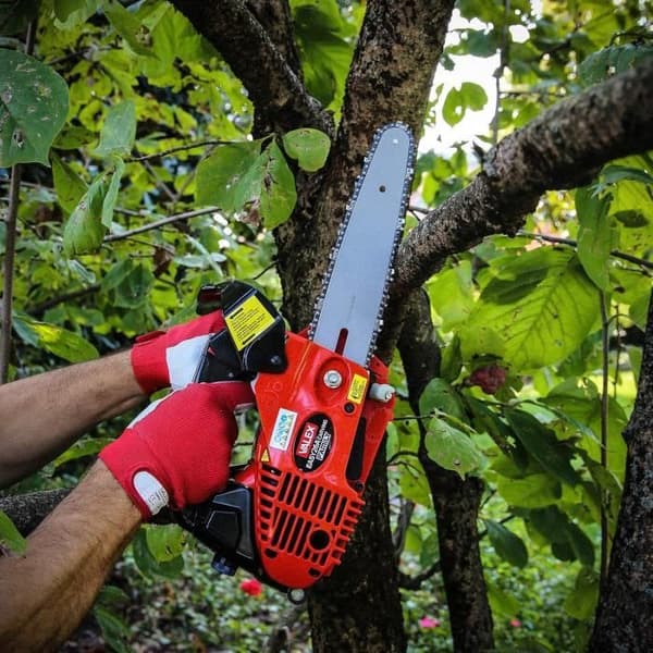 Grensåg - Valex - Easy 26A - CARVING-kedja - 30 cm - Antivibrationssystem