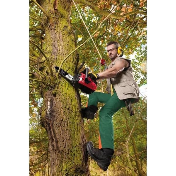 CSP2540 termisk beskærer - 25 cm - 25 CC - SCHEPPACH