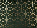 Miniatyrbild 9 av 9: Set med 2 prydnadskuddar Grön Sammet 45 x 45 cm Kubmönster Geometriskt folietryck Modern Glamour Dekor Tillbehör