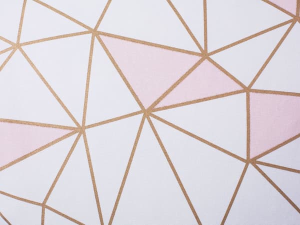 Set med 2 prydnadskuddar Rosa Bomull 45 x 45 cm Geometriskt mönster Nättryck Dekortillbehör