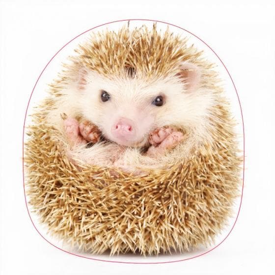 kudde 3D igelkott 42 x 46 cm polyester brun