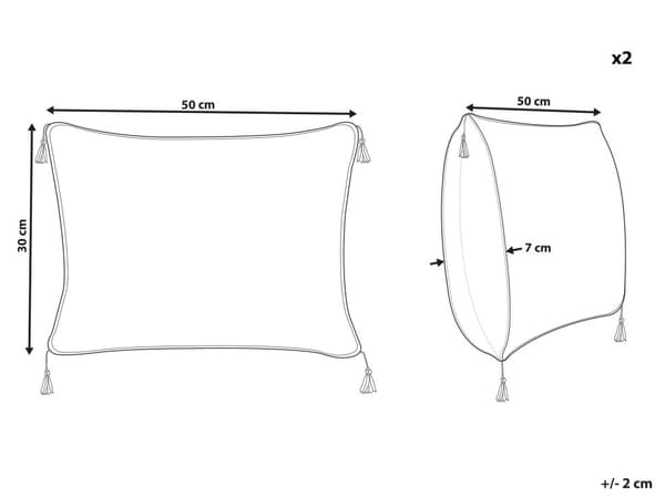Prydnadskudde 2 st Vit Svart Sammet Polyester 30 x 50 cm Modern Tofsar Sovrum Vardagsrum