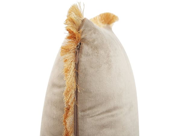 Prydnadskudde 2 st Beige Sammet 30 x 50 cm Tofsar Modern Klassisk Sovrum Vardagsrum