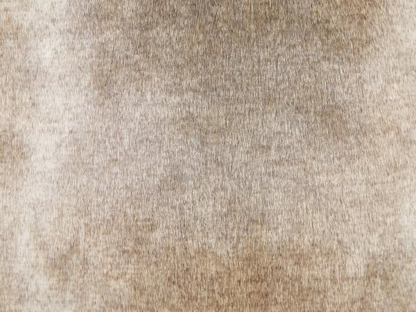 Sett med 2 Puter Brune 45 x 45 cm Glidelås Stue Soverom Pels