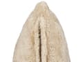 Miniatyrbild 5 av 6: Set med 2 Dekorativa Kuddar Beige Polyester 45 x 45 cm Bohemisk Design Dekor Tillbehör