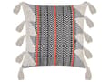 Miniatyrbild 4 av 7: Set med 2 Prydnadskuddar Flerfärgad Bomull 45 x 45 cm med tofsar Boho Vintage Chevron-mönster Vardagsrum Sovrum