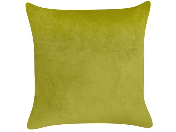 Set med 2 Prydnadskuddar Ljusgrön Sammet 45 x 45 cm Kudde Fjärilsmönster Avtagbara Fodral med Fyllning