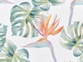 Miniatyrbilde 8 av 8: Sett med 2 hageputer Multicolour Polyester 40 x 60 cm firkantet Monstera bladmotiv Moderne design Kastepute med spredt design