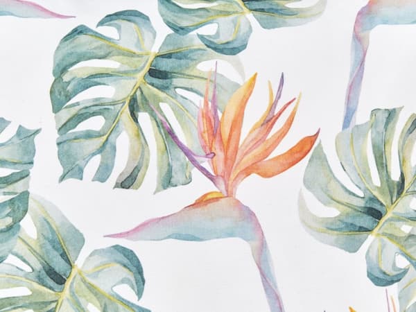 Sett med 2 hageputer Multicolour Polyester 40 x 60 cm firkantet Monstera bladmotiv Moderne design Kastepute med spredt design