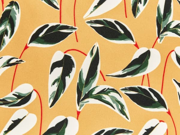Set med 2 trädgårdskuddar Flerfärgad polyester ⌀ 40 cm Rektangulär kudde med bladmönstermotiv Modern design