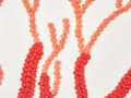 Miniatyrbild 6 av 6: Kudde Vit Bomull 45 x 45 cm Marin Korallmönster Fyrkantig Polyester Fyllning Heminredning