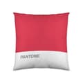 Miniatyrbild 1 av 2: Kuddfodral Pantone Stripes (50 x 50 cm)