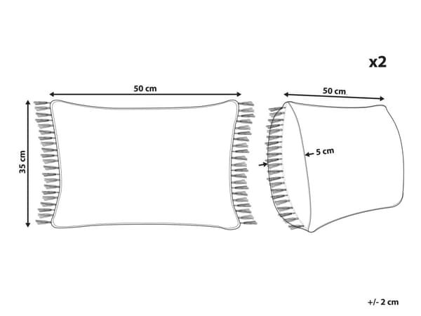 Sett med 2 pynteputer Blå Bomull 35 x 50 cm Ensfarget Frynser Moderne design Dekorasjon Interiør Tekstiler